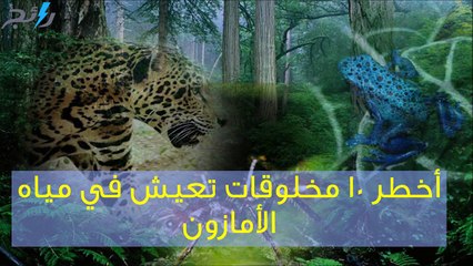 فيديو أخطر 10 مخلوقات تعيش في مياه الأمازون