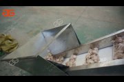 garlic peeler machine project