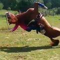 فيديو فتاة تتعرض لحادث أليم وغير متوقع أثناء ركوبها الحصان