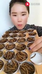 فيديو فتاة تأكل جميع أنواع الحشرات