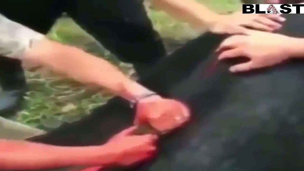فيديو مخيف: أب يخبيء طفله الرضيع بداخل جثة حيوان نافق..  والسر!