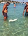 فيديو لا يصدق لقطة تسبح بين الناس على شاطئ البحر
