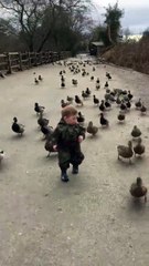 بالفيديو هذا هو المعنى الحقيقي لـ جملة السير مع التيار