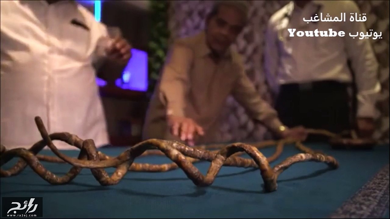 تعرفوا على صاحب أطول أظافر في العالم.. لن تصدقو...