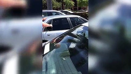 شاهد.. لقطات مؤثرة تضرب مثالاً رائعاً في الرحمة بالحيوان