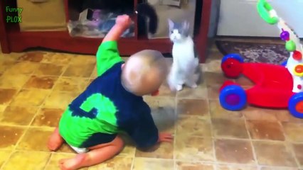 فيديو يثبت العلاقة الطريفة بين الأطفال والقطط