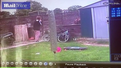 شاهد بالفيديو.. "ثور" يطارد فتاة سيئة الحظ داخل حديقة منزلها