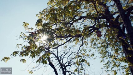 عطر Mon Guerlain الجديد يلبي تطلّعات الأنوثة العصريّة