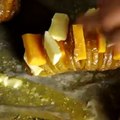 بالفيديو 14 طريقة للحصول على طبق من البطاطا الشهية