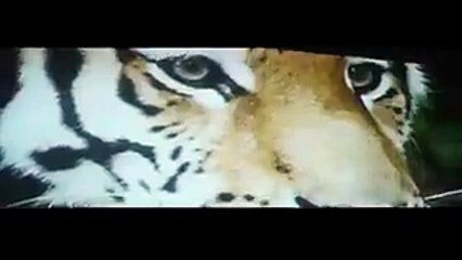 فيديو تريللر فيلم "الأصليين".. وإطلالة منة شلبي الغامضة حديث الجماهير!