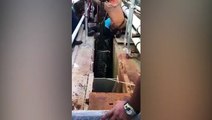 عملية إنقاذ تمساح عملاق من مصرف مياه تنتهي بمأساة.. فيديو