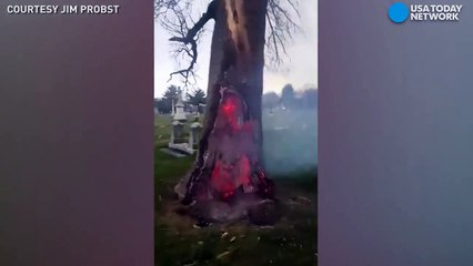 Скачать видео: فيديو مرعب شجرة تحترق من الداخل في مقبرة في الولايات المتحدة الأمريكية