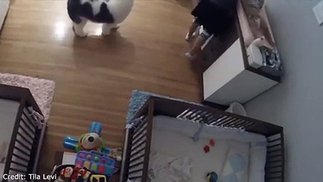 فيديو طفل في 9 من عمره ينقذ أخاه الرضيع من الموت في اللحظة الأخيرة