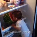فيديو يحصد ألاف المشاهدات لطفل لطيف يأكل البطيخ بطريقة كوميدية