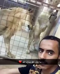 فيديو عاشق الحيوانات المفترسة - يطلب من النمر أن يفتح باب القفص