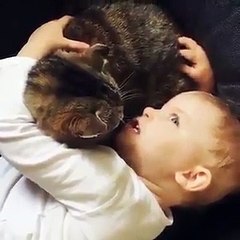 طفل يروي حكاية قبل النوم لقطته فيديو لطيف للغاية