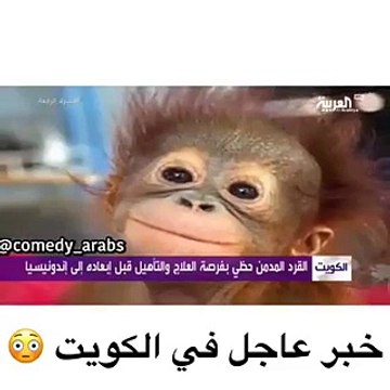 خبر عاجل في الكويت يثير ضجة على مواقع التواصل