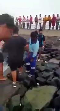 بالفيديو صيد سمكة قرش قبالة شواطئ جدة