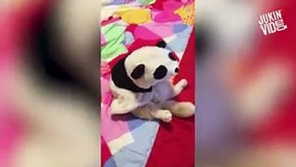 بالفيديو: حيوانات تحتفل بعيد "الهالووين" وتتنكر في أزياء غريبة