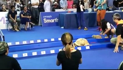 بالفيديو: سباق سرعة بين سلحفاة وأرنب