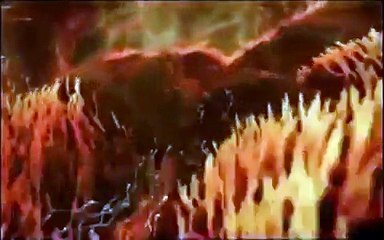 فيديو مراحل تطور الجنين