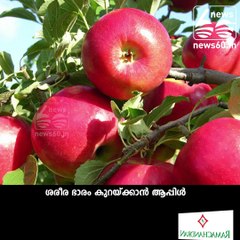 Apple helps to reduce belly fat