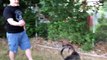 Owner pranks confused dog with hilarious water balloon variation of viral #whatthefluff challenge