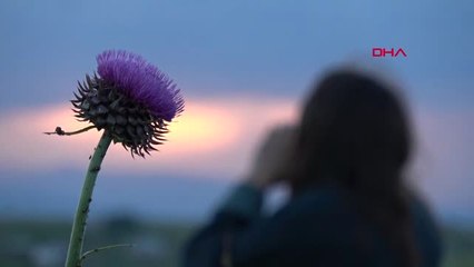 Ağrı Leyla İçin Yumuşak Zemin Aramasına Devam Ediliyor Hd