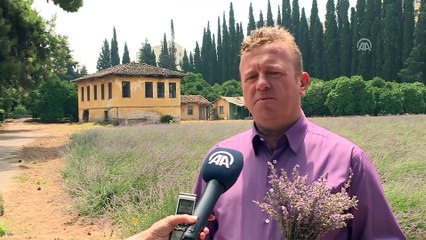 'Lavanta üretimi sahile indi' - ANTALYA