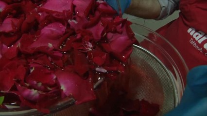 هذا الصباح- تحضير شراب ماء الورد.. حرفة كلها فوائد
