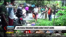 5 Warga Bali Terjangkit Rabies akibat Digigit Anjing