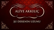 Aliye Akkılıç - Şu Derenin Uzunu (45'lik)