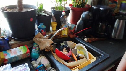 A Jemappes, un logement insalubre (rez-de-chaussée)