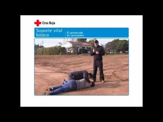 soporte vital basico