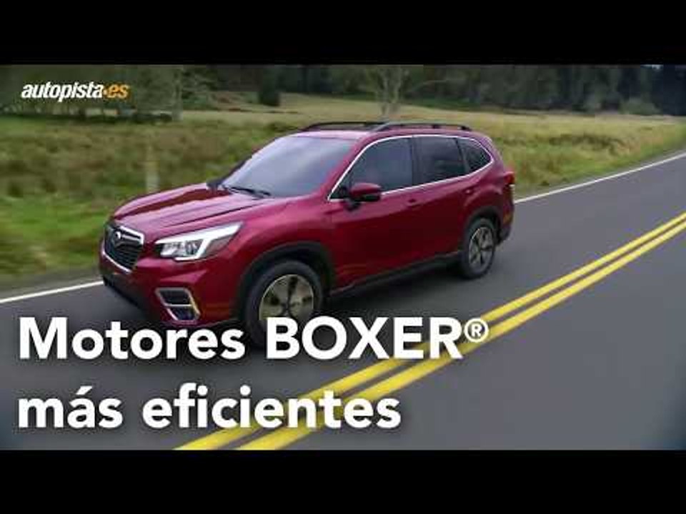 Subaru Forester: llega la quinta generación