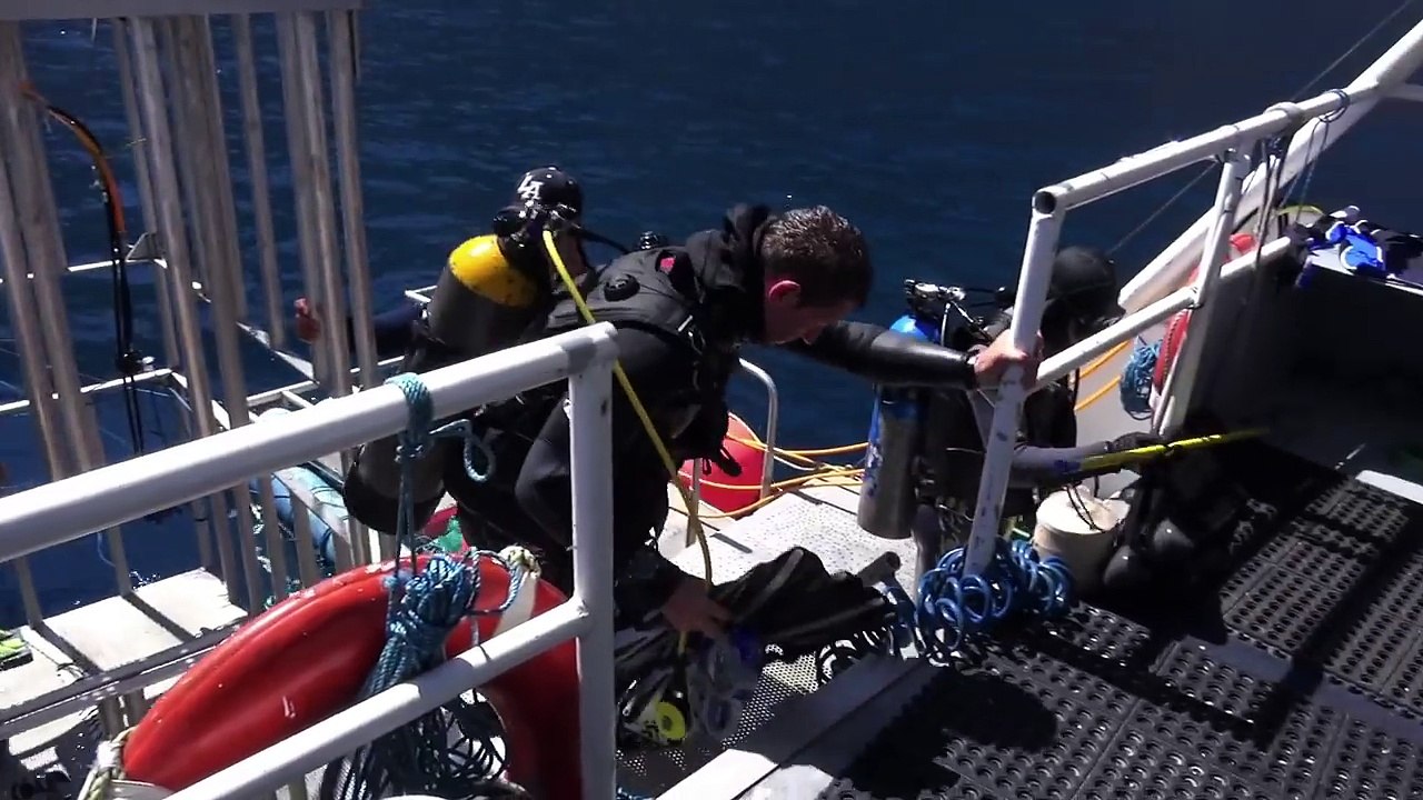 L’ ILE des GRANDS REQUINS BLANCS du PACIFIQUE-NORD  Chapitre 2
