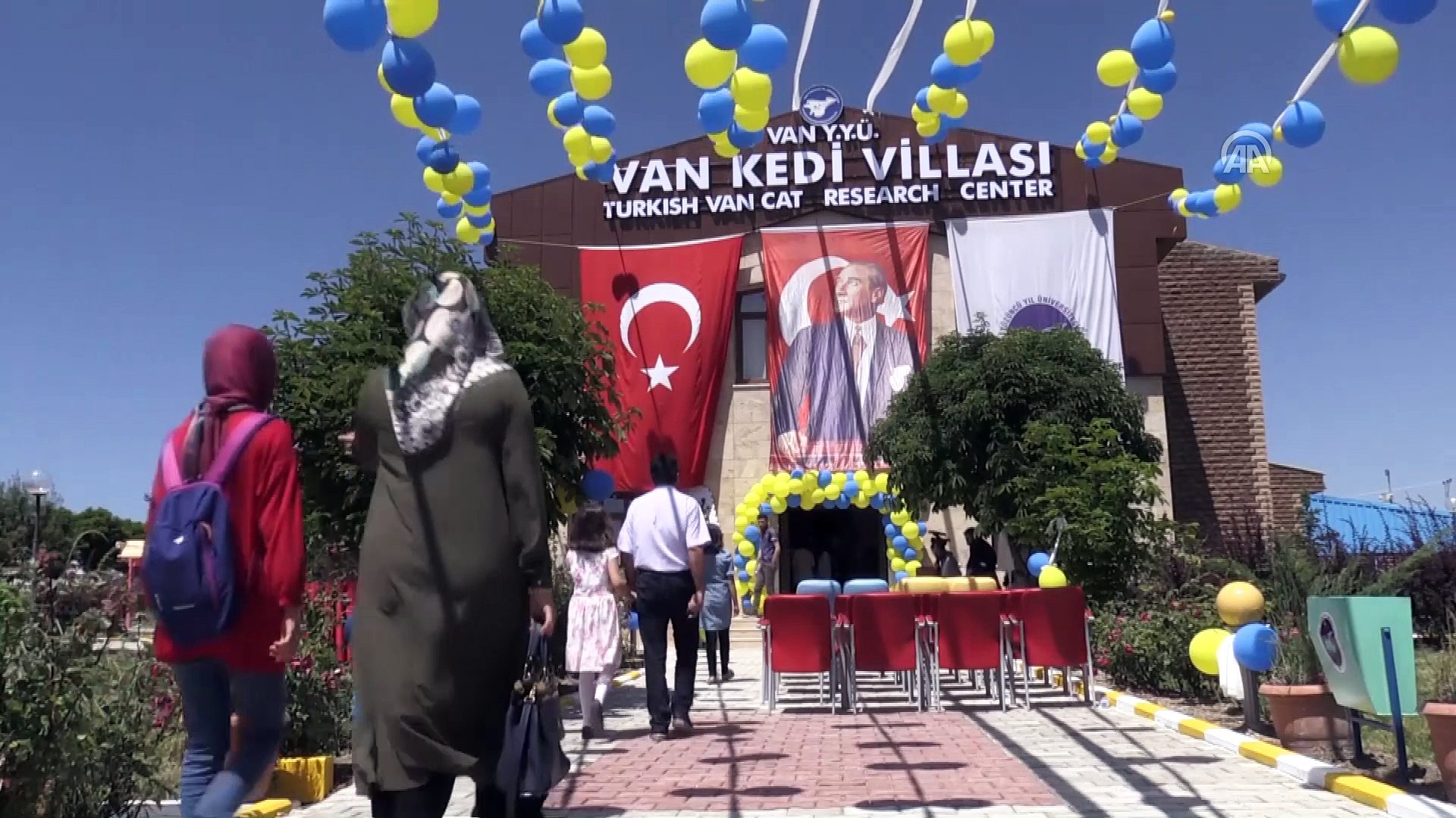 ⁣Van kedileri için 'özel havuz' - VAN