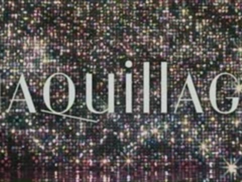 [CM]Shiseido Maquillage (winter07)