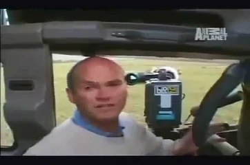 Aslanlar Su Aygırına Saldırıyor - Lions, Hippos are attacking,Belgesel izle 2017