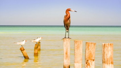 10 Best Places for a Quick Summer Vacation Getaway