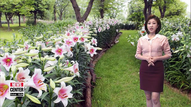 Cloudy and humid weather tomorrow _ 062818