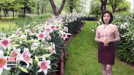 Cloudy and humid weather tomorrow _ 062818