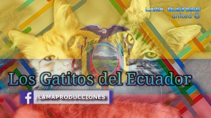 ÑLR TU TRAICIÓN Los Gatitos del Ecuador, Música Nacional