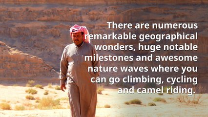 The Negev Desert