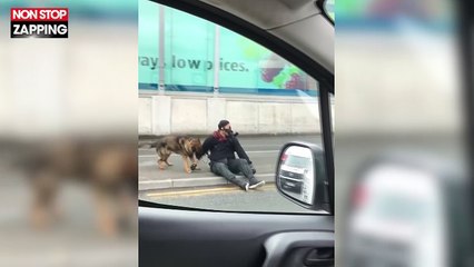 Angleterre : La police tase un homme armé d'un couteau et d'une arbalète (vidéo)