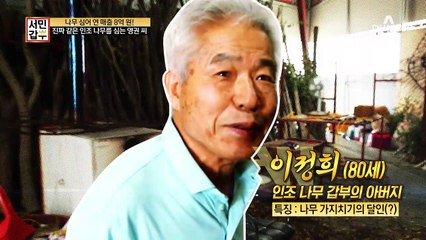 가지 치기의 달인! 나무계의 숨은 거장, 그 정체는?