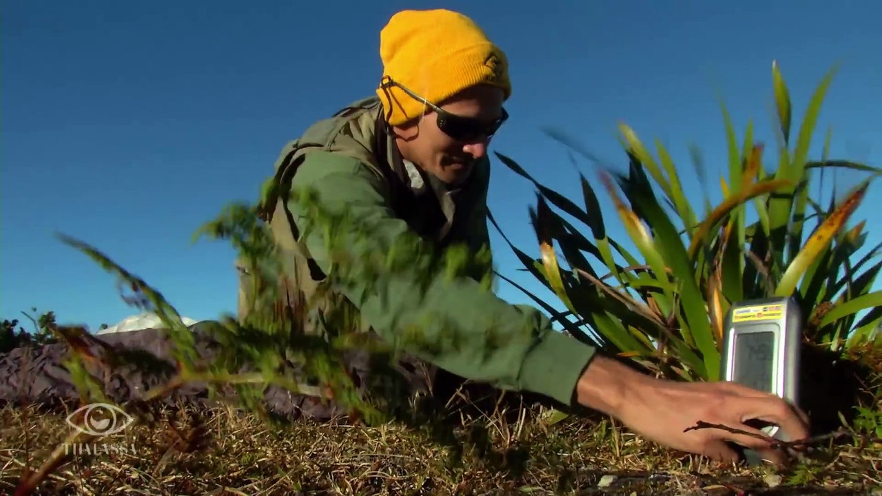 Plonger en Polynésie
