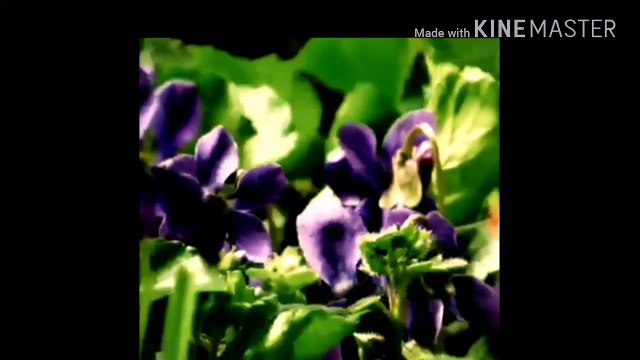 Allah hi Allah kiya karo dukh na kisi ko diya karo beautiful Dua