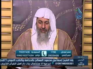 ما حكم التسويق عبر شركة كيو نت ؟ الشيخ مصطفى العدوي