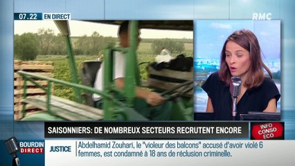 Dupin Quotidien : Saisonniers, de nombreux secteurs recrutent encore - 29/06